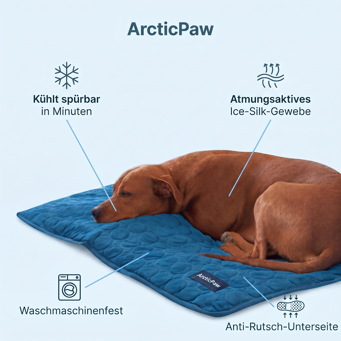 ArcticPaw Kühlmatte – Vorteile im Überblick