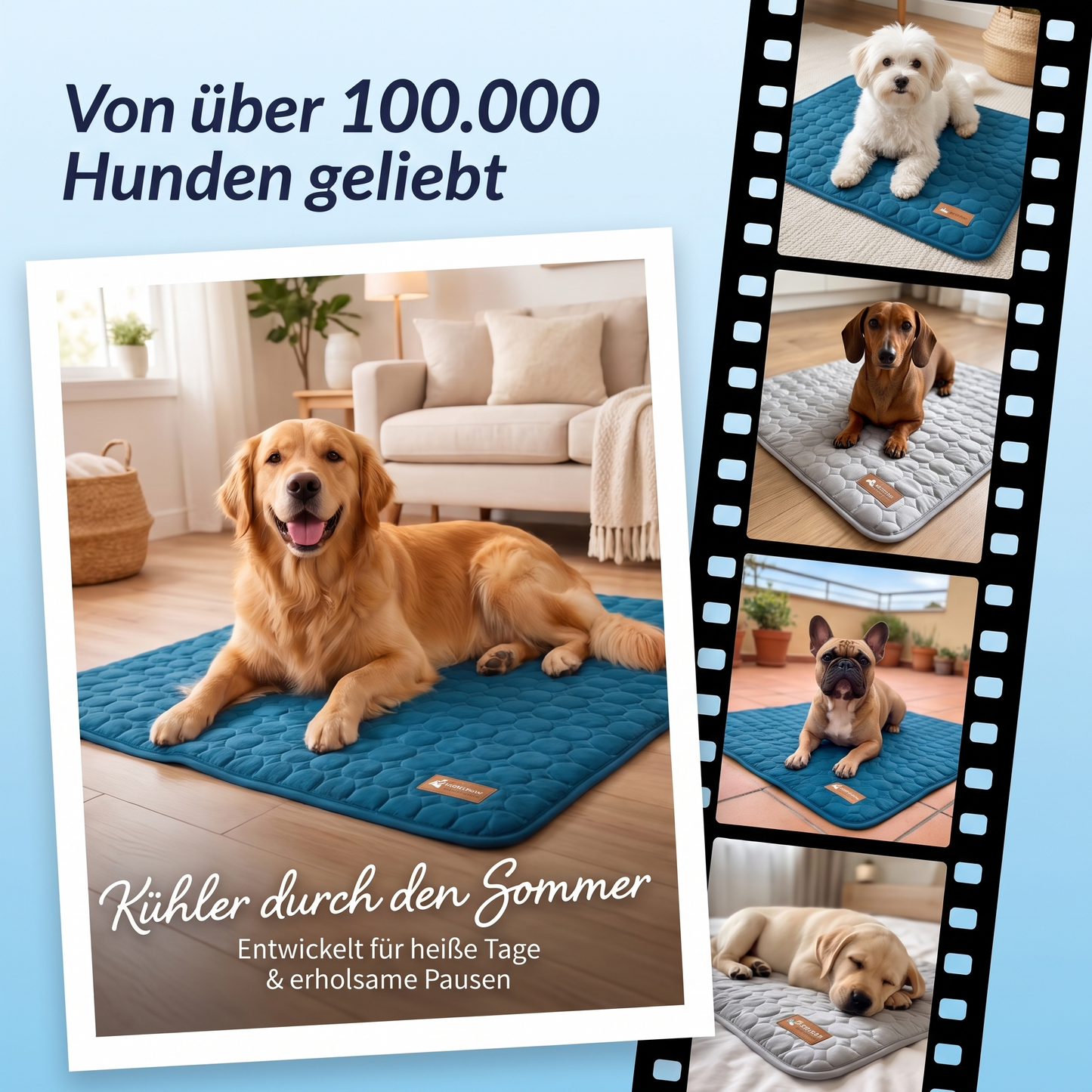 Von über 100.000 Hunden geliebt – ArcticPaw