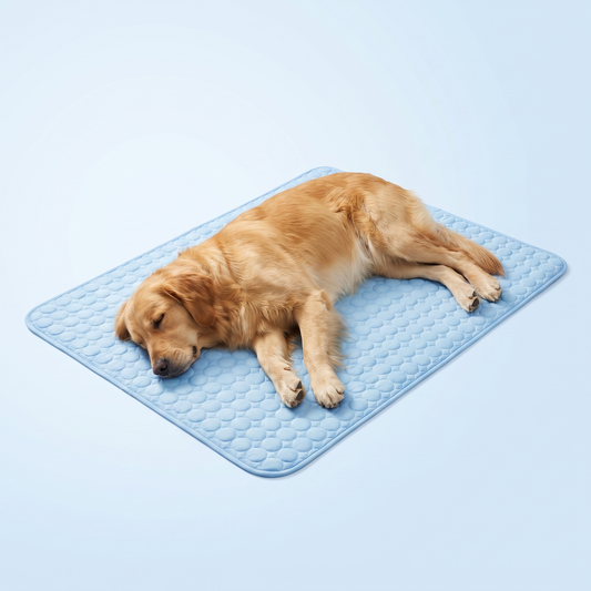 ArcticSilk Kühlmatte für Hunde – Hellblau