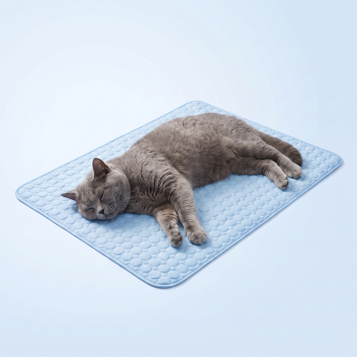 ArcticPaw Kühlmatte für Katzen – Hellblau