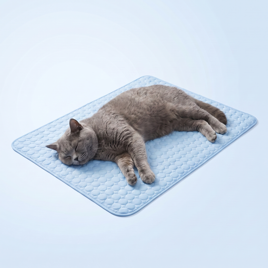 ArcticPaw Kühlmatte für Katzen – Hellblau